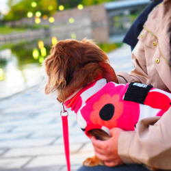 犬服　ダックスちゃんのポケット付ハイネックタンクトップ　あかいお花 12枚目の画像