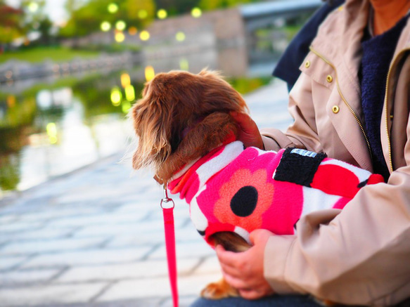 犬服　ダックスちゃんのポケット付ハイネックタンクトップ　あかいお花 12枚目の画像