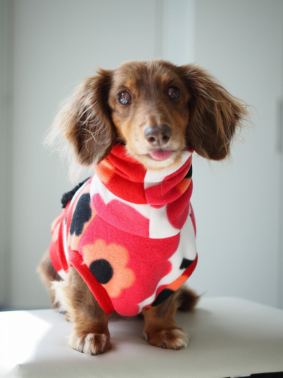 犬服　ダックスちゃんのポケット付ハイネックタンクトップ　あかいお花 6枚目の画像