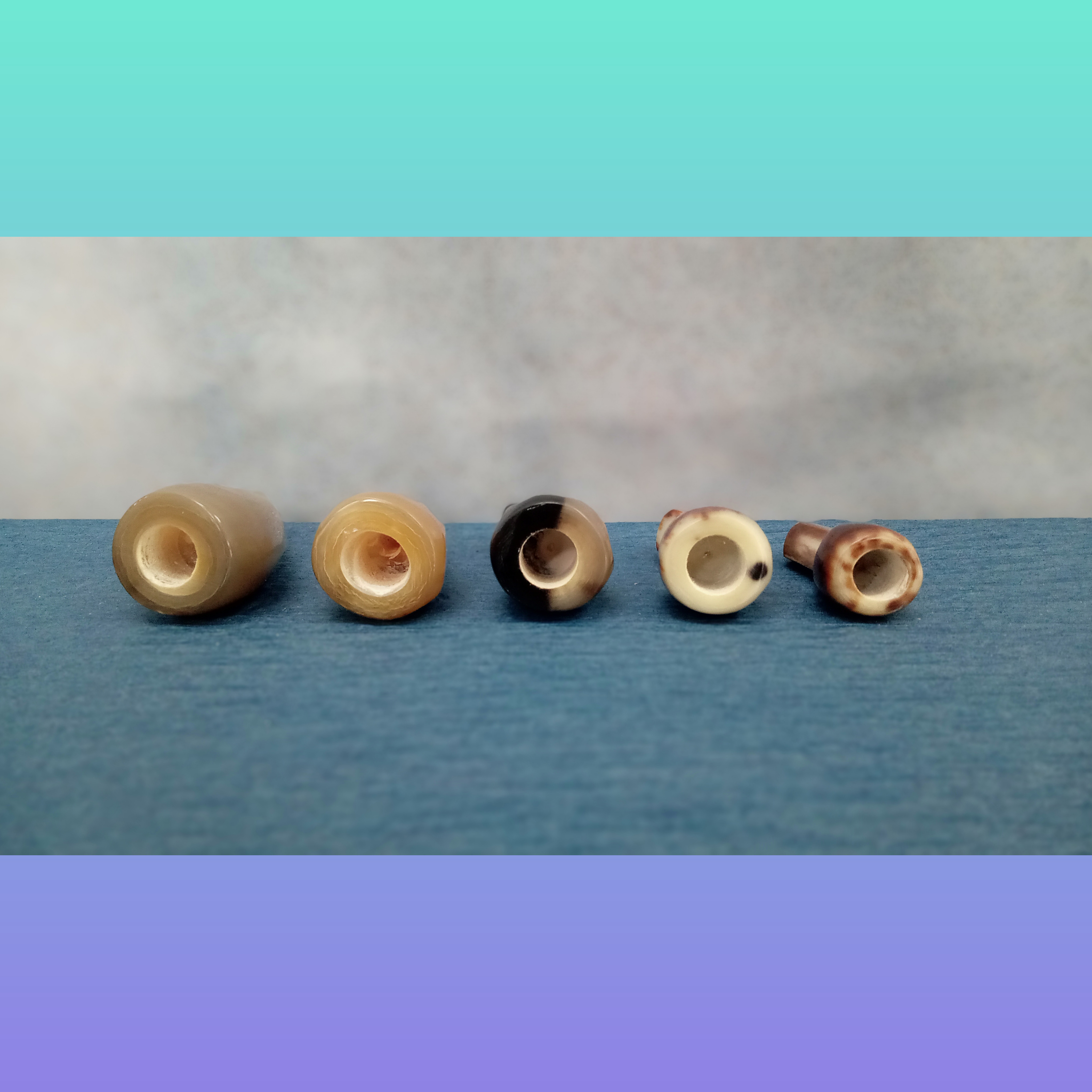 赤牛ツメ〈丸型 LLサイズ〉