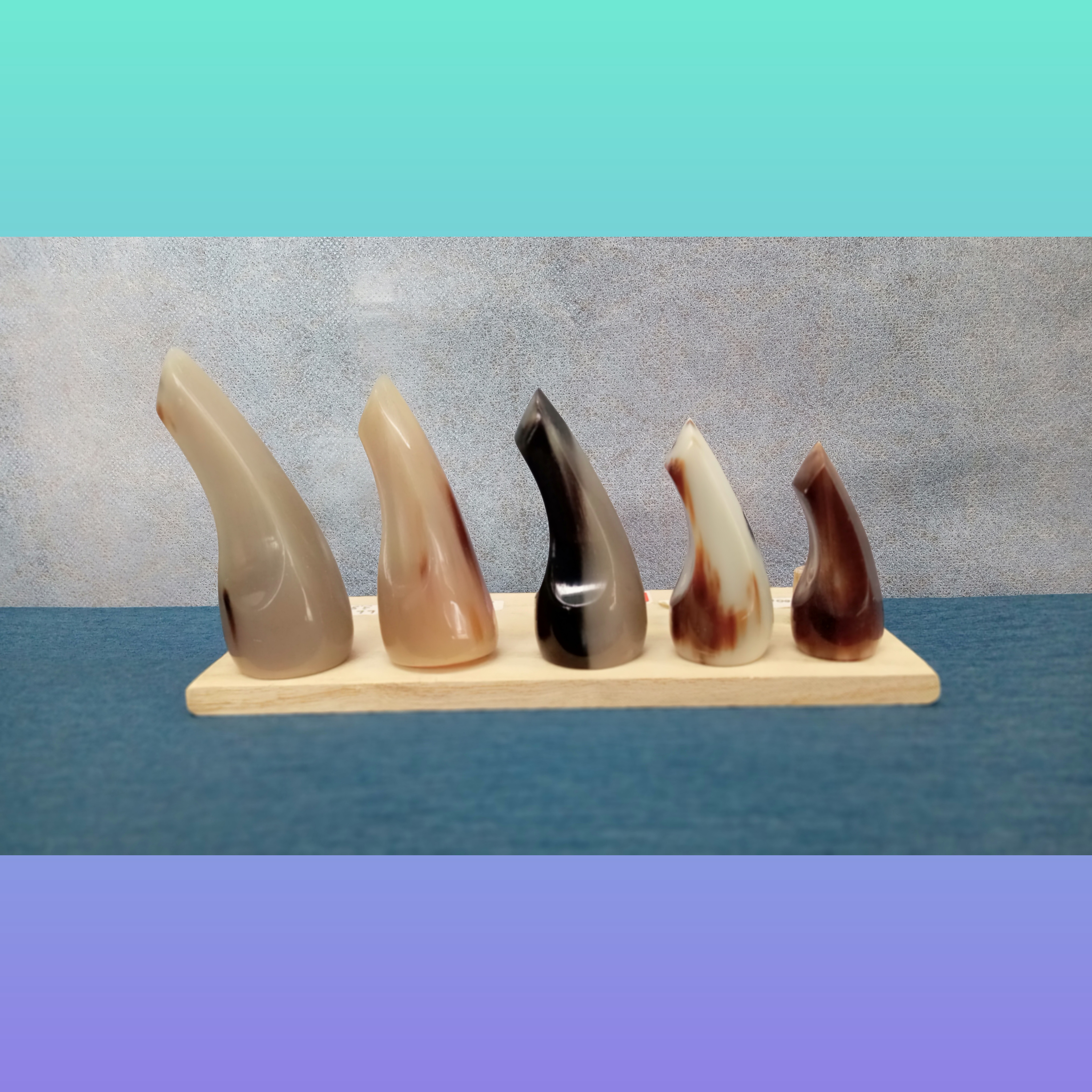 赤牛ツメ〈丸型 LLサイズ〉