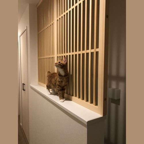 みーちゃんです！ドイツ　ザイフェン　ヴェルナー工房　猫　ネコ　木製 楽天市場】ミーユーブー/meyou BOO ネコちゃんのボールの