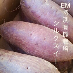 【令和4年新さつまいも】EM特別有機栽培さつまいも「シルクスイート」3kg (サイズおまかせS〜M) 1枚目の画像