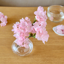 ラスト１点《ずっと咲いてる》コロンと桜のふんわりアレンジ19cm（無料ギフトラッピング） 2枚目の画像