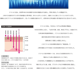 手の冷え対策【 指先から手首までサポート】【TB-026】【テラビューティー・手袋】[1サイズ] [女性用手袋]　ギフト 11枚目の画像