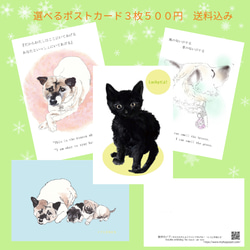 3枚@500 保護犬保護猫応援 一部寄付 ポストカード 動物 犬 猫 環境に 