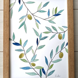 A4サイズ　水彩原画　オリーブの木 3枚目の画像