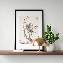【NO.426】梅とシロガシラの日本画アートポスター☆お正月和柄和室インテリア和モダン玄関A2A1B5B4B3B2B1 4枚目の画像