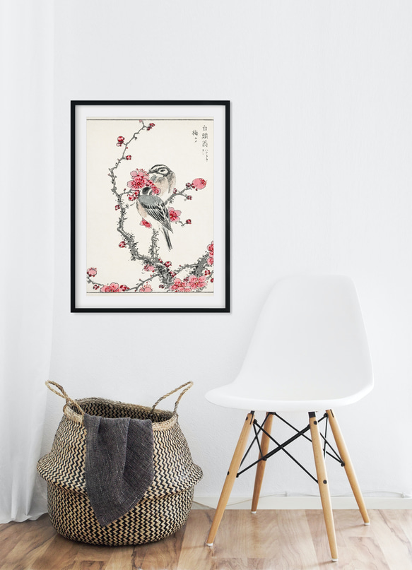 【NO.426】梅とシロガシラの日本画アートポスター☆お正月和柄和室インテリア和モダン玄関A2A1B5B4B3B2B1 1枚目の画像