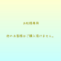 お松様専用 1枚目の画像