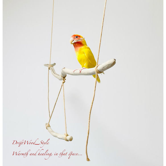 流木インテリア  シンプルな天然流木の小鳥の止まり木 吊り下げタイプ インコ 鳥 ブランコ 自然木 No.1 6枚目の画像