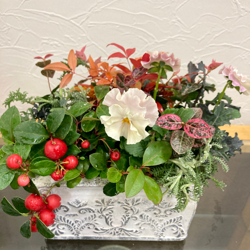 大正アンティーク　花活け Nostalgia #ベニスモモ #スカビオサ #菊 #生け花 #いけばな #華道