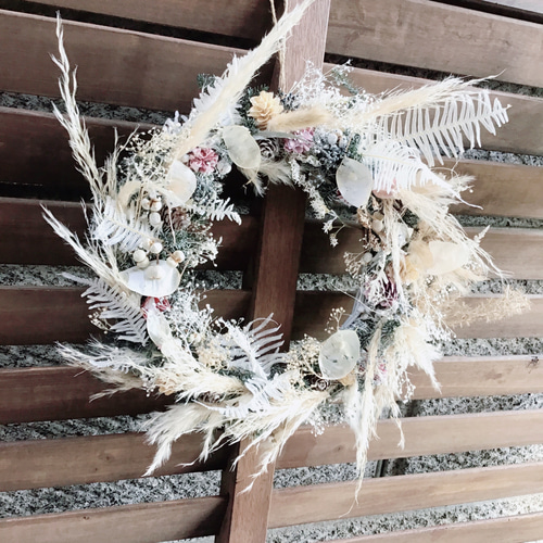 秋限定2024】 パンパスグラスがゆらゆら！ルナリアがキラリ