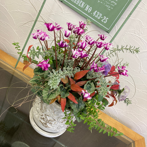 シクラメンオリガミのお正月寄せ植えギャザリング アートフラワー 茶々