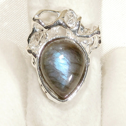 マイドッグリング 犬種ポメラニアン SV925 天然ダイヤ入り 指輪