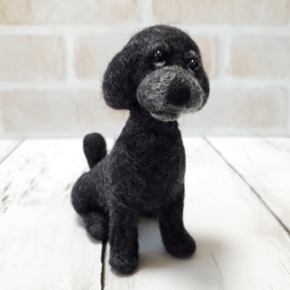 羊毛フェルト　トイプードル　ブラック 羊毛フェルト ブラック（黒茶）トイプードル ブローチ ブローチ