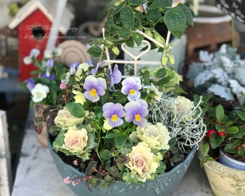 7476e57afa28dc1dc869437f9b96d1