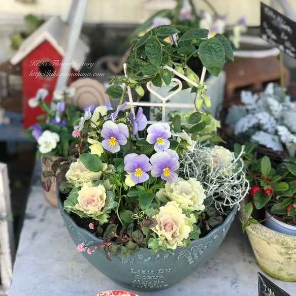 限定1点！特価品！冬の寄せ植えCreema限定販売 その他インテリア雑貨