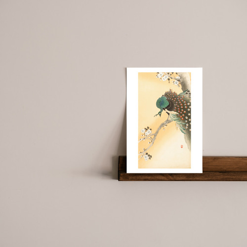 小原古邨「桜に孔雀」本物木版画 小原古邨「桜に孔雀」本物木版画 - メルカリ