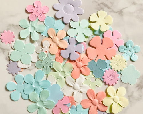 019f9ea082917302eb229e307ef58c