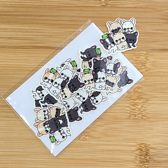 オーダー受付 チワワ クッション ご予約ページ 5/17 オーダー受付