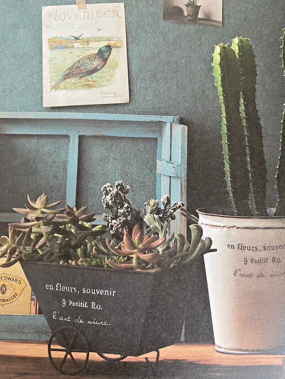 《可愛いブリキカート型 鉢 》 観葉植物 多肉植物 お花の寄せ植えに ガーデニング ブリキ 小物入れにも インテリア㊹ 2枚目の画像