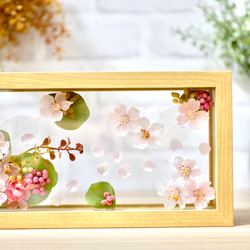 水面に浮かぶ桜✳︎フレームアレンジメント　横長 8枚目の画像