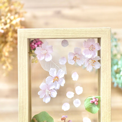 水面に浮かぶ桜✳︎フレームアレンジメント　横長 4枚目の画像