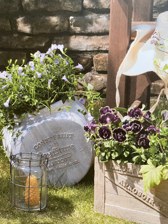 《可愛い英字アンティーク陶器鉢 》 観葉植物 多肉植物 お花の寄せ植えに ガーデニング ビオラ パンジー 大きめ 66 2枚目の画像