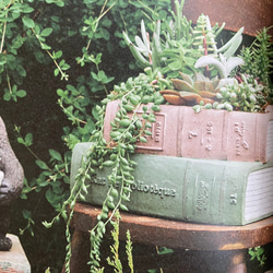 《可愛いBOOK 本型 陶器鉢 》観葉植物 多肉植物 お花の寄せ植えに ガーデニング ビオラ パンジーアンティーク 67 2枚目の画像