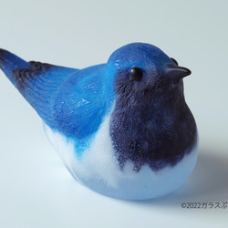 アクリルガラス　オブジェ　置物　ブラジル製 ガラス「オオルリ」/オブジェ 置物 鳥 立体・オブジェ ガラス