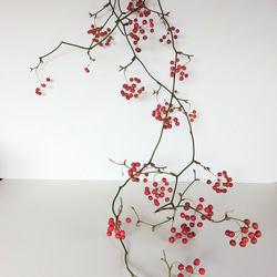 高砂ユリの種殻 ドライフラワー nyao-mery 通販 13124588｜Creema