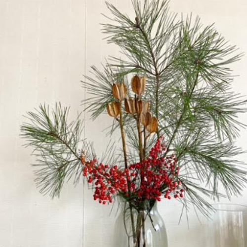 松 枝モノ 2本セット 先行予約販売 早割 その他インテリア雑貨