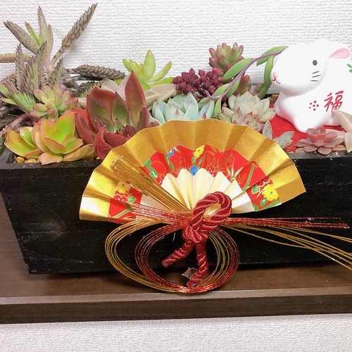 ・:*速達付き多肉植物そのまま飾れる・:*お正月.縁起物.お年賀 速達付き多肉植物そのまま飾れる・:*お正月.縁起物.お年賀