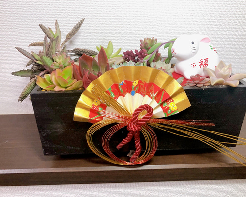 お正月飾り 店舗 玄関 お年賀 プレゼント 寄せ植え 多肉植物 虎っぺ