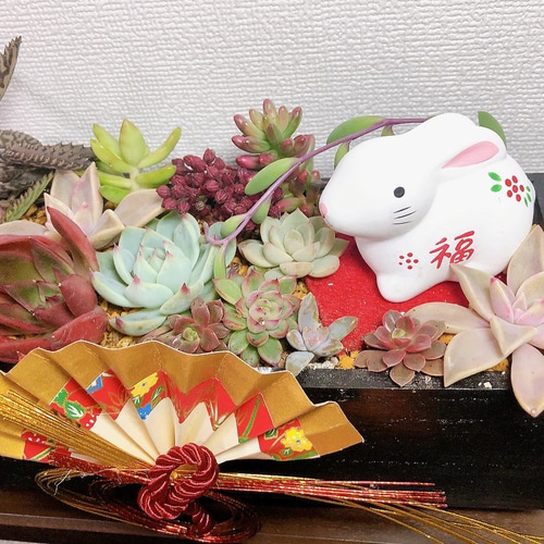 お正月飾り 店舗 玄関 お年賀 プレゼント 寄せ植え 多肉植物 虎