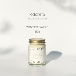 冬の香木　WINTER SWEETー蝋梅(ﾛｳﾊﾞｲ)ー　FRAGRANCE CANDLE（ソイキャンドル） 1枚目の画像