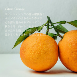 ［Citrus Orange］天然アロマのブレンドオイル／3ml／5ml／天然精油／スイートオレンジベース 4枚目の画像