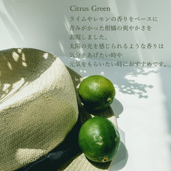 ［Citrus Green］天然アロマのブレンドオイル／3ml／5ml／天然精油／ライムベース 6枚目の画像