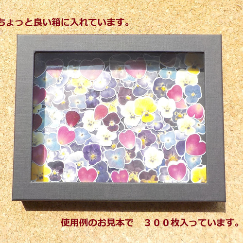 Creema限定』押し花 フレークシール 本物 ビオラ 薔薇 紫陽花 100枚 NO