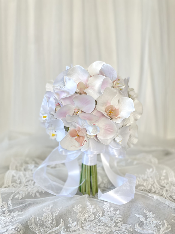 オンシジューム10本 胡蝶蘭1ケース12本〜14本入りの特別せ