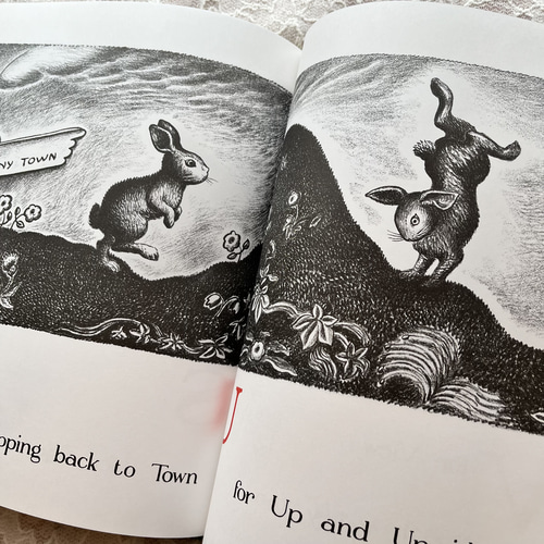 英国で出会った♪アメリカのうさぎの絵本 「THE ABC BUNNY」/洋書