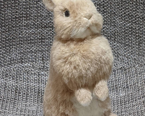 2枚目も見てね🐰✨ まるで親子？👀 #うさぎのいる暮らし #うさぎのいる生活 #うさぎ#ウサギ #ドワーフライオンラビット #ミニウサギ  #ホト#ホト柄 #ホトうさぎ #p2#ピーツー #p2smallanimals #p2久山店 #久山#トリアス久山