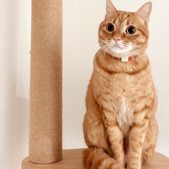 金具を使わない！猫ちゃんにやさしい毛糸の首輪 / 猫の首輪 (チェック 赤 × 白) 4枚目の画像