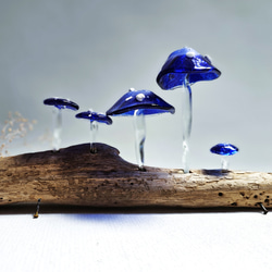 小さなきのこ ガラス細工 ミニチュア 168070875.jpg?cmsp_timestamp=