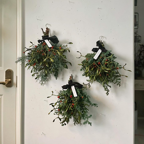 親樹木付き宿木 ヤドリギ オレンジの実‼️縁起物 幸せ運ぶ木♪ 親