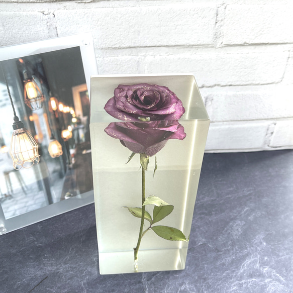 本物の紫色のバラ/ミーティア＋/インテリア置物/記念日/プレゼント/薔薇の植物標本/レジン/987g 3枚目の画像