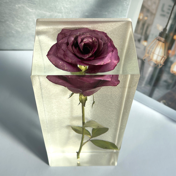 本物の紫色のバラ/ミーティア＋/インテリア置物/記念日/プレゼント/薔薇の植物標本/レジン/987g 2枚目の画像