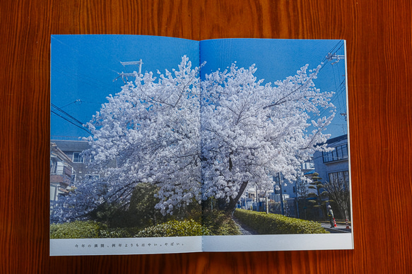フォトブックレット「マチニズム springtime」 3枚目の画像