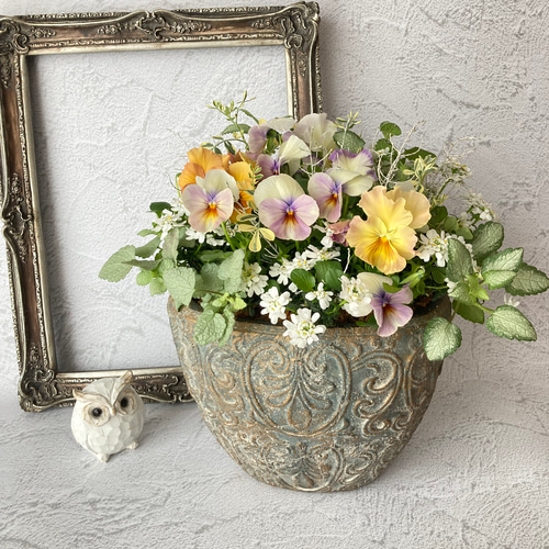 寄せ植え 花 パンジーとイベリスのふわふわギャザリング アート